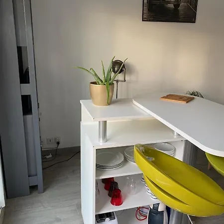 Chaleureux T2 30 M2 Et Sa Terrasse Bois 18 M2 *