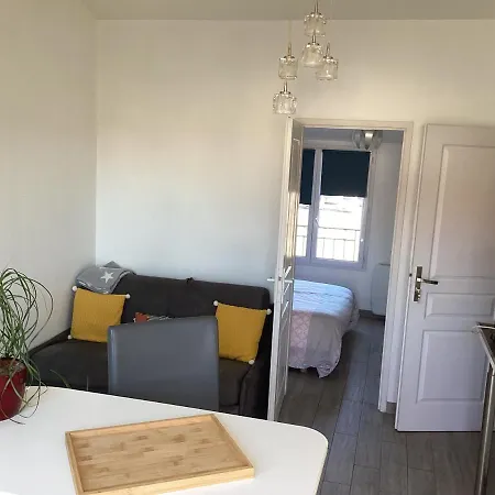 Chaleureux T2 30 M2 Et Sa Terrasse Bois 18 M2