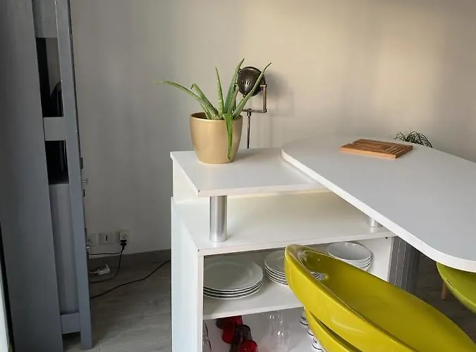 Chaleureux T2 30 M2 Et Sa Terrasse Bois 18 M2 *