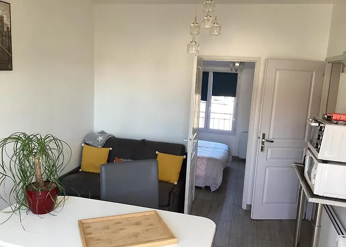 Chaleureux T2 30 M2 Et Sa Terrasse Bois 18 M2