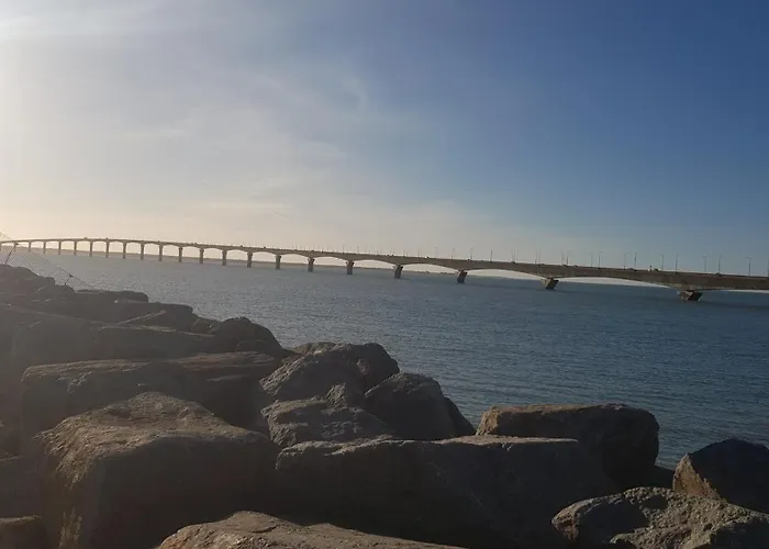 Apartment Chaleureux T2 30 M2 Et Sa Terrasse Bois 18 M2